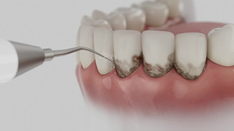 Reliable Dental contractor in Conning Towers Nautilus Park, CT by Dentist Open Now
